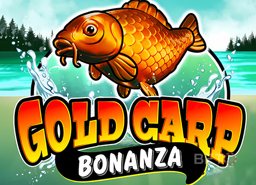 Gold Carp Bonanza