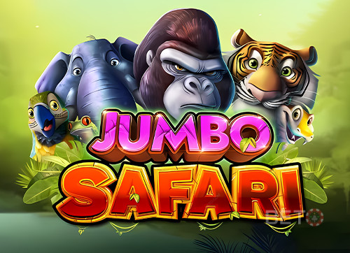 Jumbo Safari