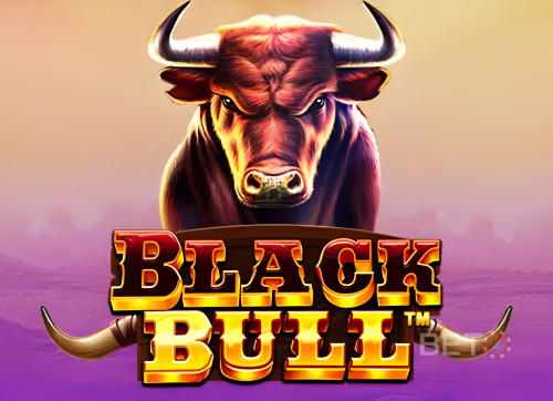 Black Bull