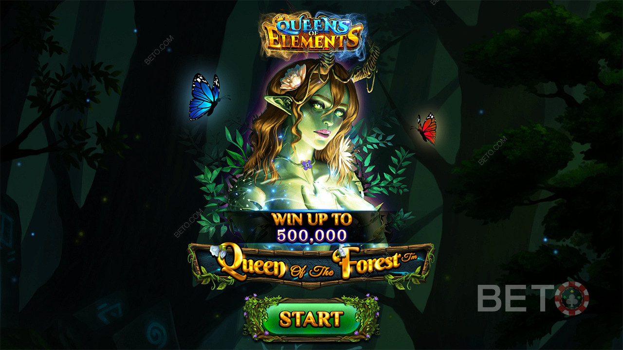 Queen of the Forest Ücretsiz Oyna