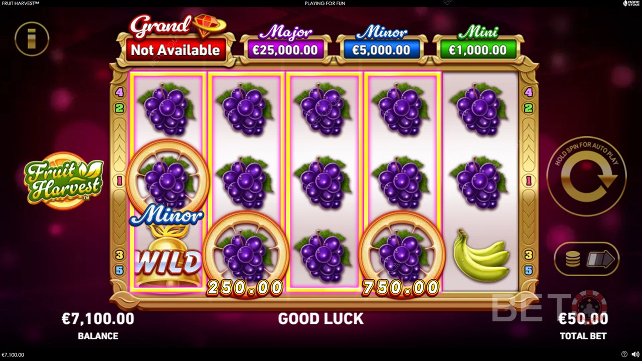 Bonus Özellikler Fruit Harvest tarafından Açıklandı Rarestone Gaming