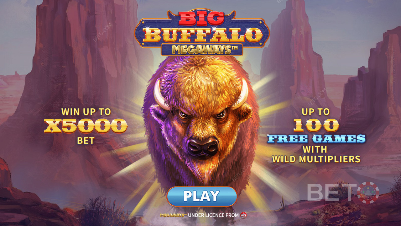 Başlatılıyor Big Buffalo Megaways