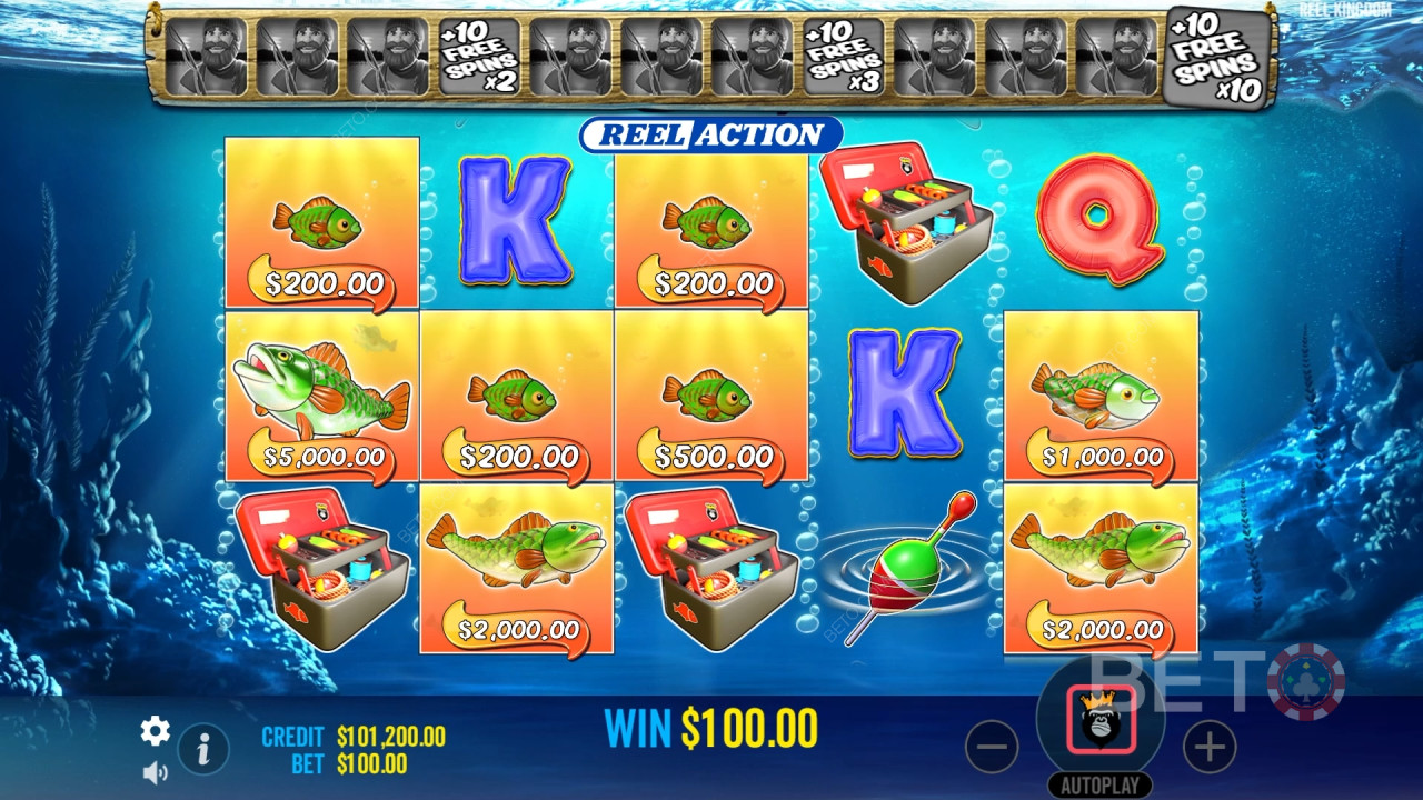 Reel Kingdom