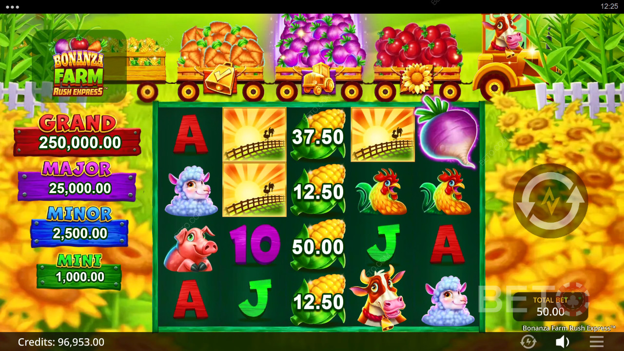 BETO Slots tarafından Bonanza Farm Rush Express İncelemesi