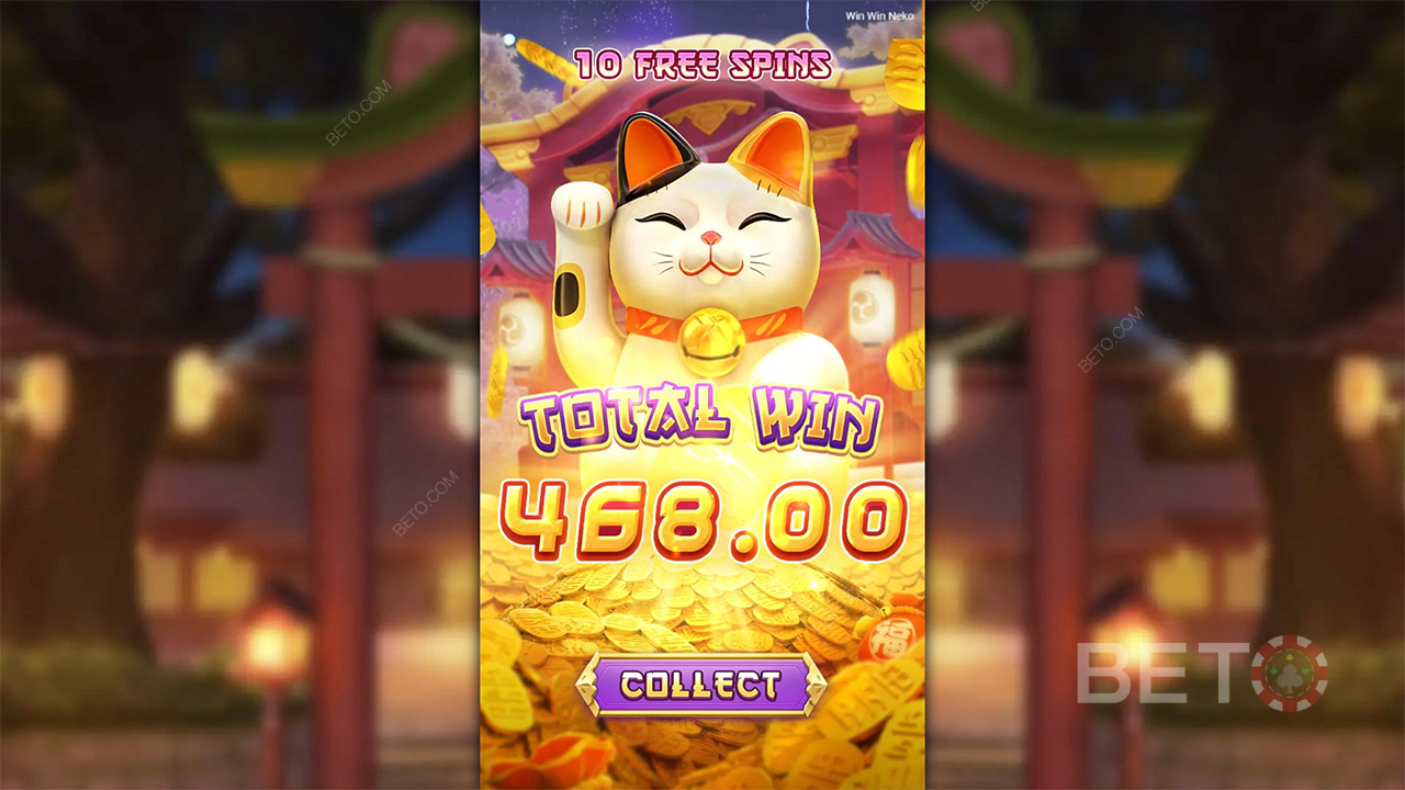 Win Win Neko - Evet veya Hayır