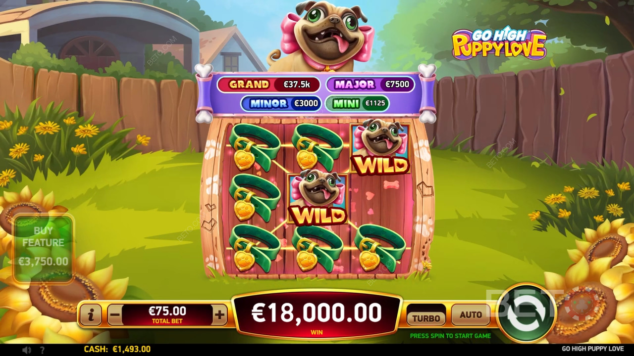 Go High Puppy Love BETO Slots tarafından incelendi