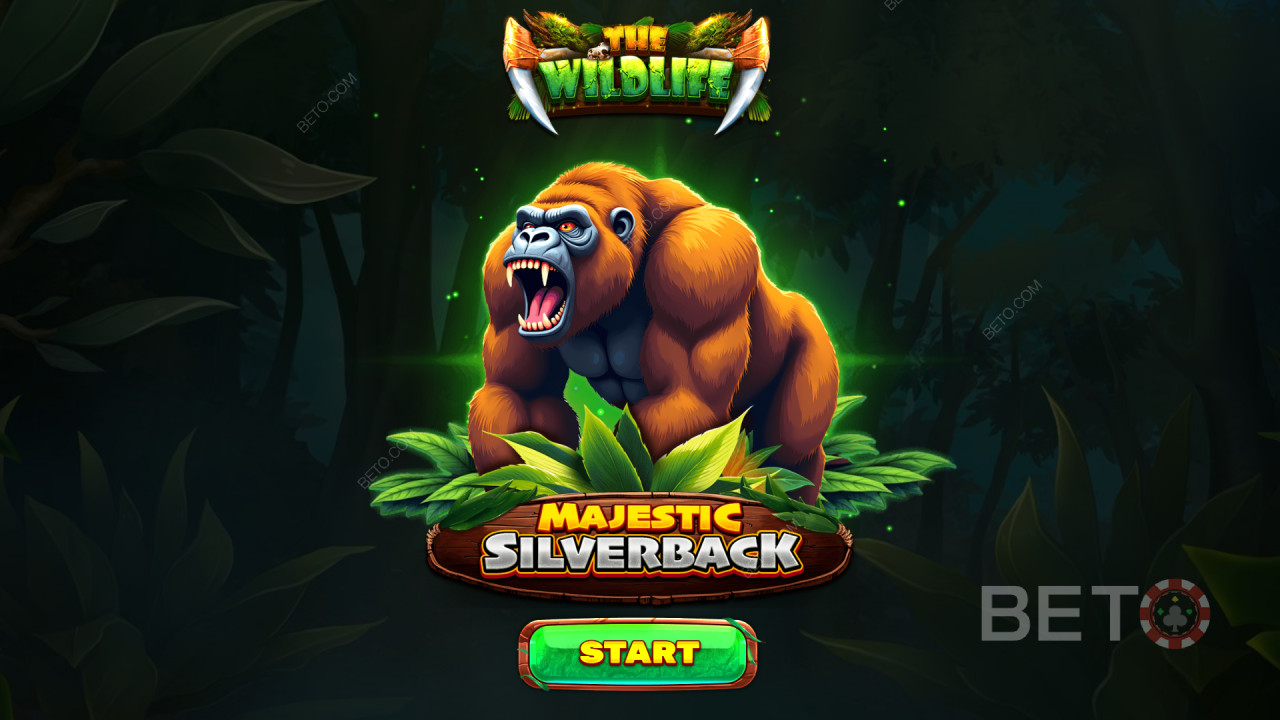 Bonus Özellikler Majestic Silverback Tarafından Açıklandı Spinomenal