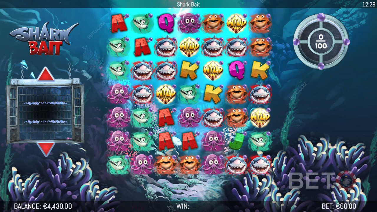 Hungry Bear tarafından Köpekbalığı Yemi