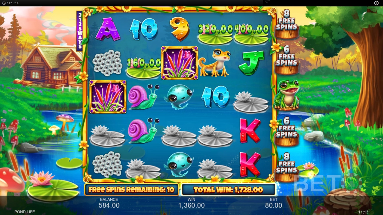 Bonus Özellikler Pond Life