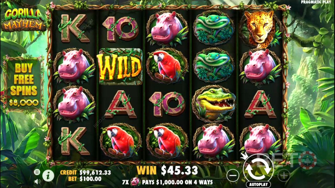 Gorilla Mayhem slotunda 1.024 kazanma yolunun keyfini çıkarın