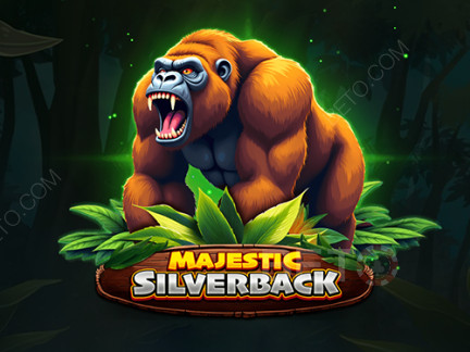 Czech: Majestic Silverback Demo